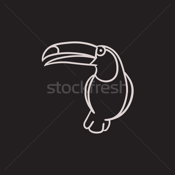 600x600 Toucan Sketch Icon. Stock Photo Andrei Krauchuk (Rastudio - Toucan Sketch