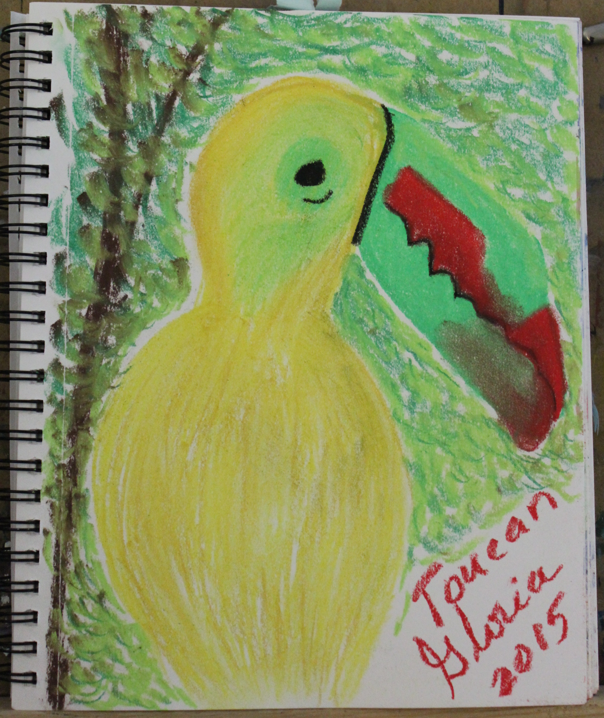 1206x1432 Toucan Sketch Made By Gloria Poole, Rn, Artist Aka Gloriapoole In - Toucan Sketch