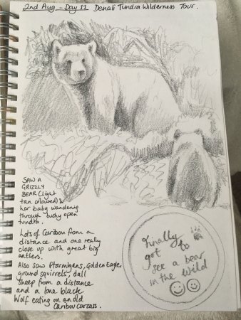 338x450 Sketch Following Our Denali Wilderness Tour - Tour Sketch