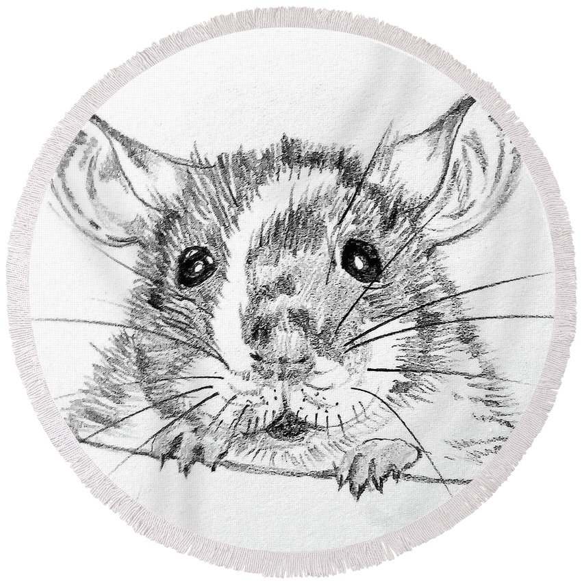 850x850 Rat Sketch Round Beach Towel For Sale By Susan Paquette - Towel Sketch