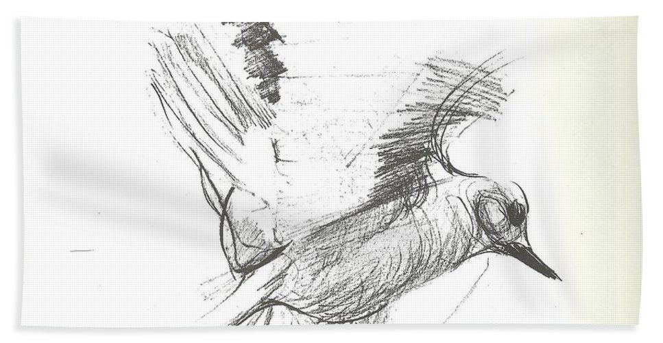 967x500 Flying Bird Sketch Beach Towel For Sale By Denise Fulmer - Towel Sketch