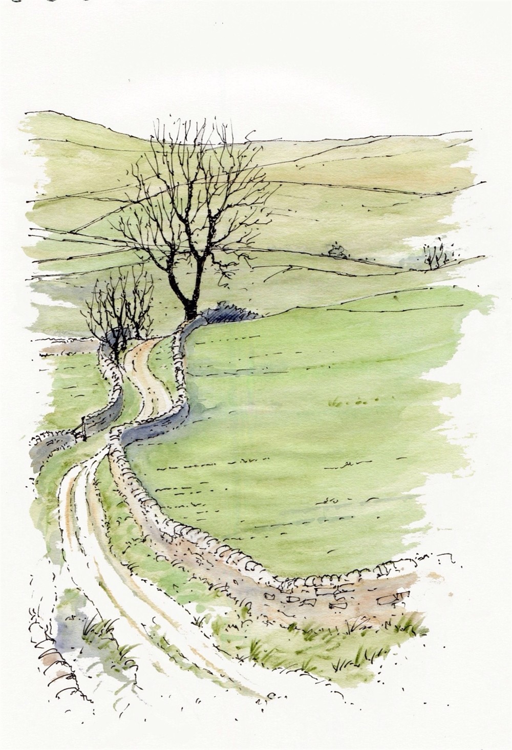 1000x1465 Yorkshire Dales Track - Track Sketch
