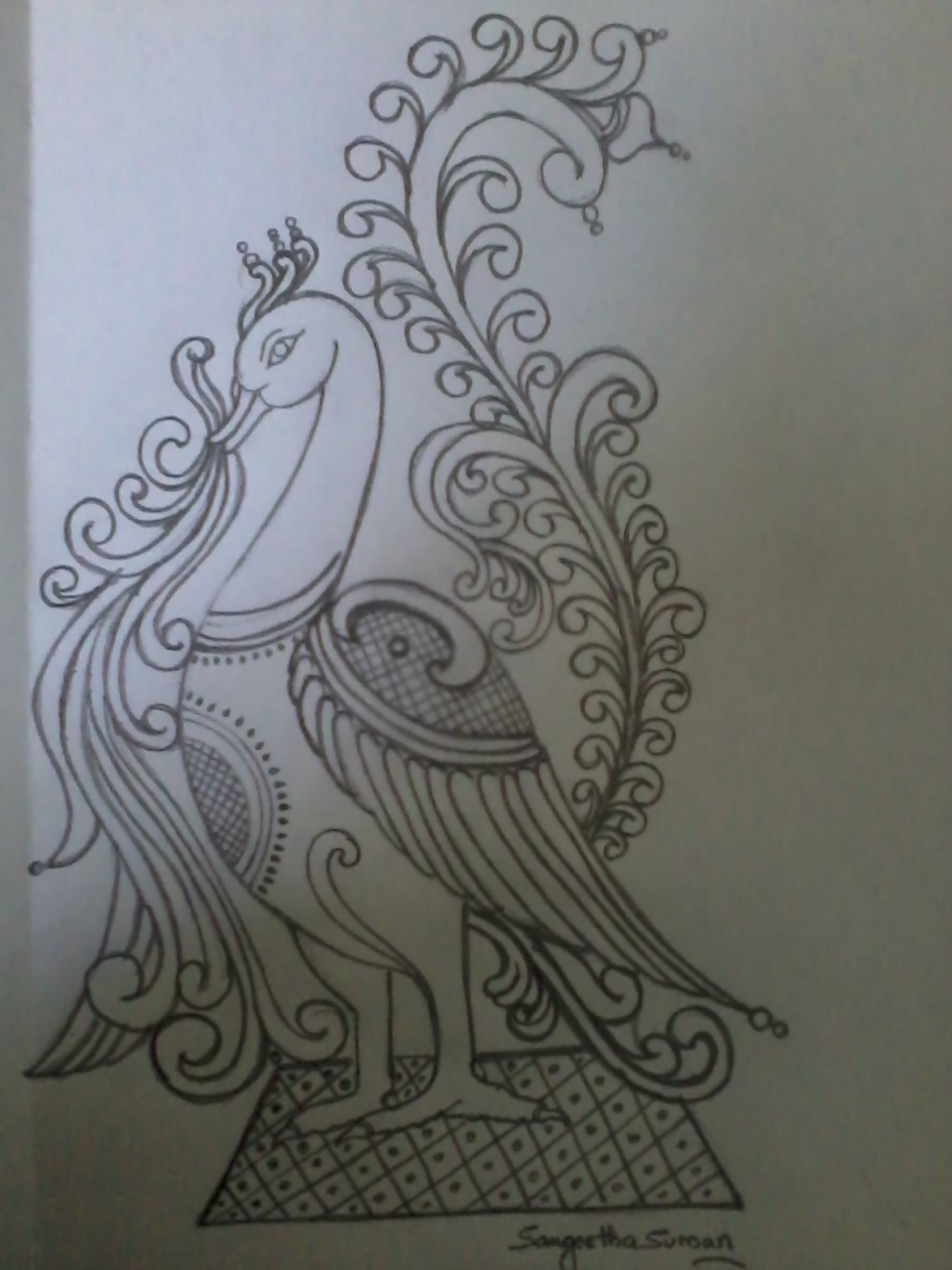 960x1280 Pencil Sketch Of A Traditional Peacock - Traditional Sketches