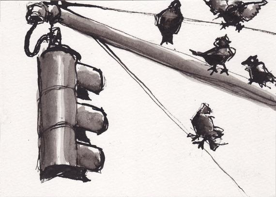 570x407 Pen And Ink Sketch Drawing Nyc Traffic Light Pigeons Black Etsy - Traffic Signal Sketch