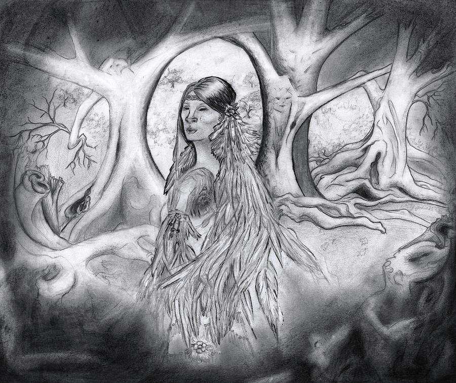 900x755 The Legend Of Cherokee Rose Trail Of Tears Drawing By Janice Moore - Trail Of Tears Sketch