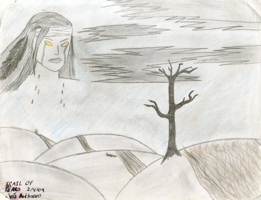 900x690 Trail Of Tears By Damekage - Trail Of Tears Sketch