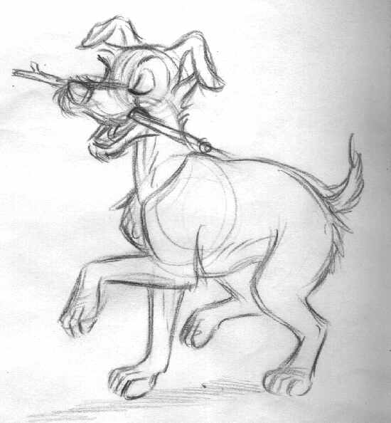 550x594 Lady Amp The Tramp - Tramp Sketch