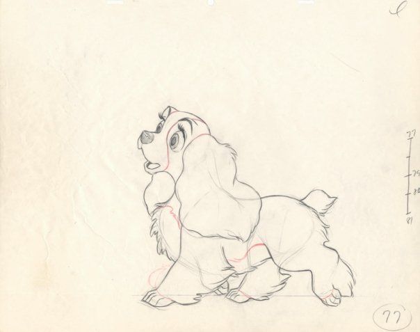 604x477 Lady And The Tramp Sketch. Lady Disney Sketches - Tramp Sketch