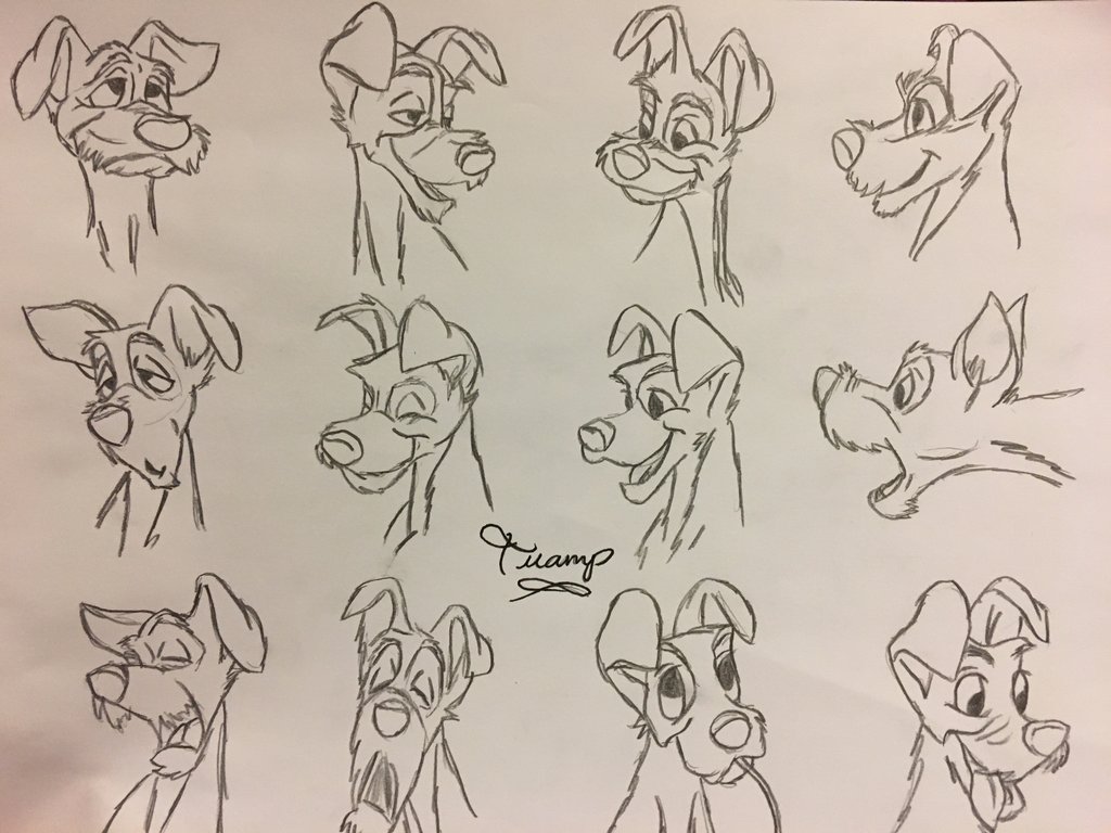 1024x768 Tramp Sketch By Julietcapulet432 - Tramp Sketch