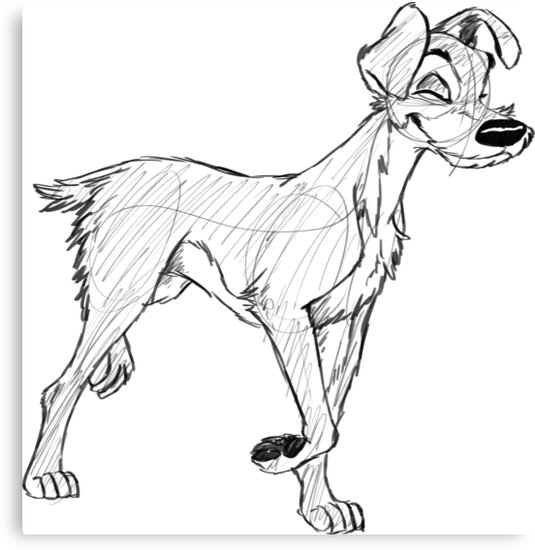 535x550 Tramp Sketch Canvas Prints By Blueskywolf Redbubble - Tramp Sketch