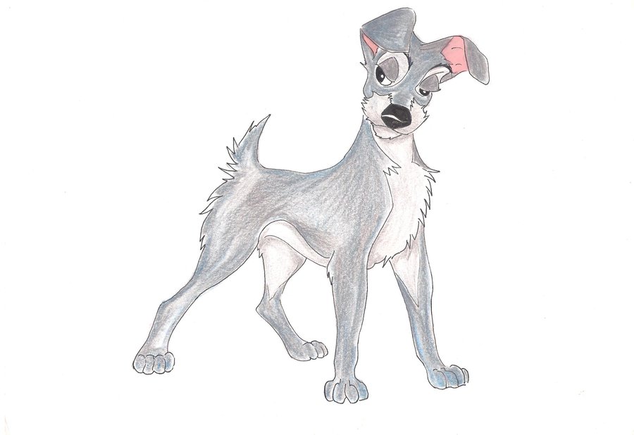 900x618 Tramp Sketch By Bleugirl - Tramp Sketch