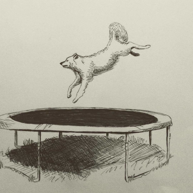 640x640 Ewelina Harnik On Talenthouse - Trampoline Sketch