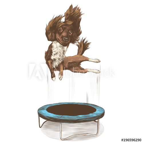 500x500 The Dog Jumps On A Portable Trampoline Round Sketch Vector - Trampoline Sketch