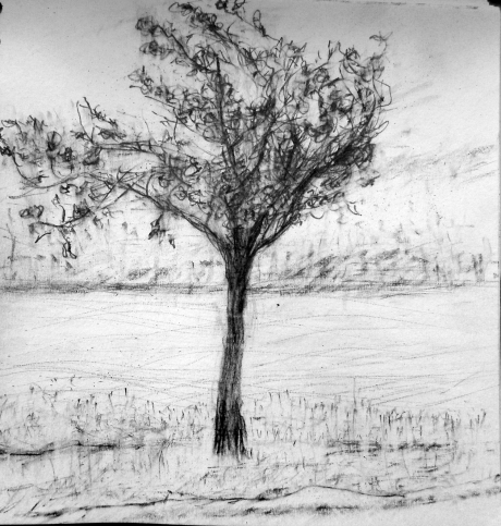 Tree Art Sketch at PaintingValley.com | Explore collection of Tree Art ...