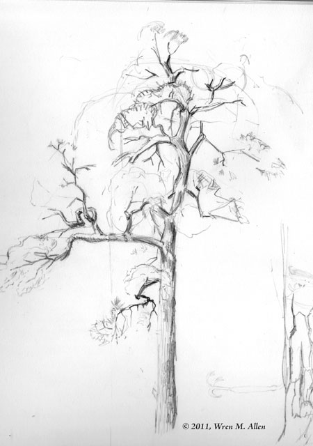 Tree Art Sketch at PaintingValley.com | Explore collection of Tree Art ...