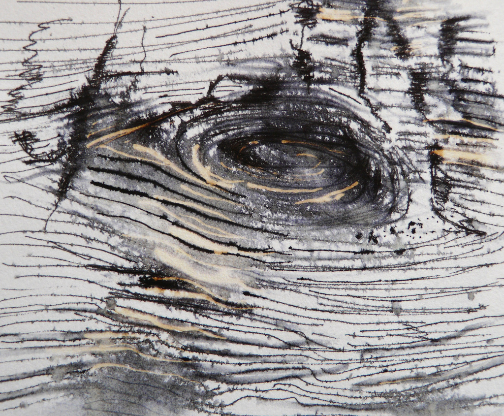 1024x845 Tree Bark Drawing. Sketchbook Page. Ink , Water And Fi - Tree Bark Sketch