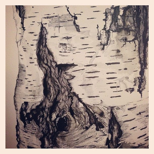Tree Bark Sketch at Explore collection of Tree