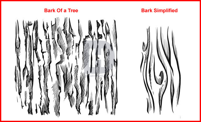642x390 How To Draw Wood, Step By Step, Drawing Guide, By Darkonator - Tree Bark Sketch