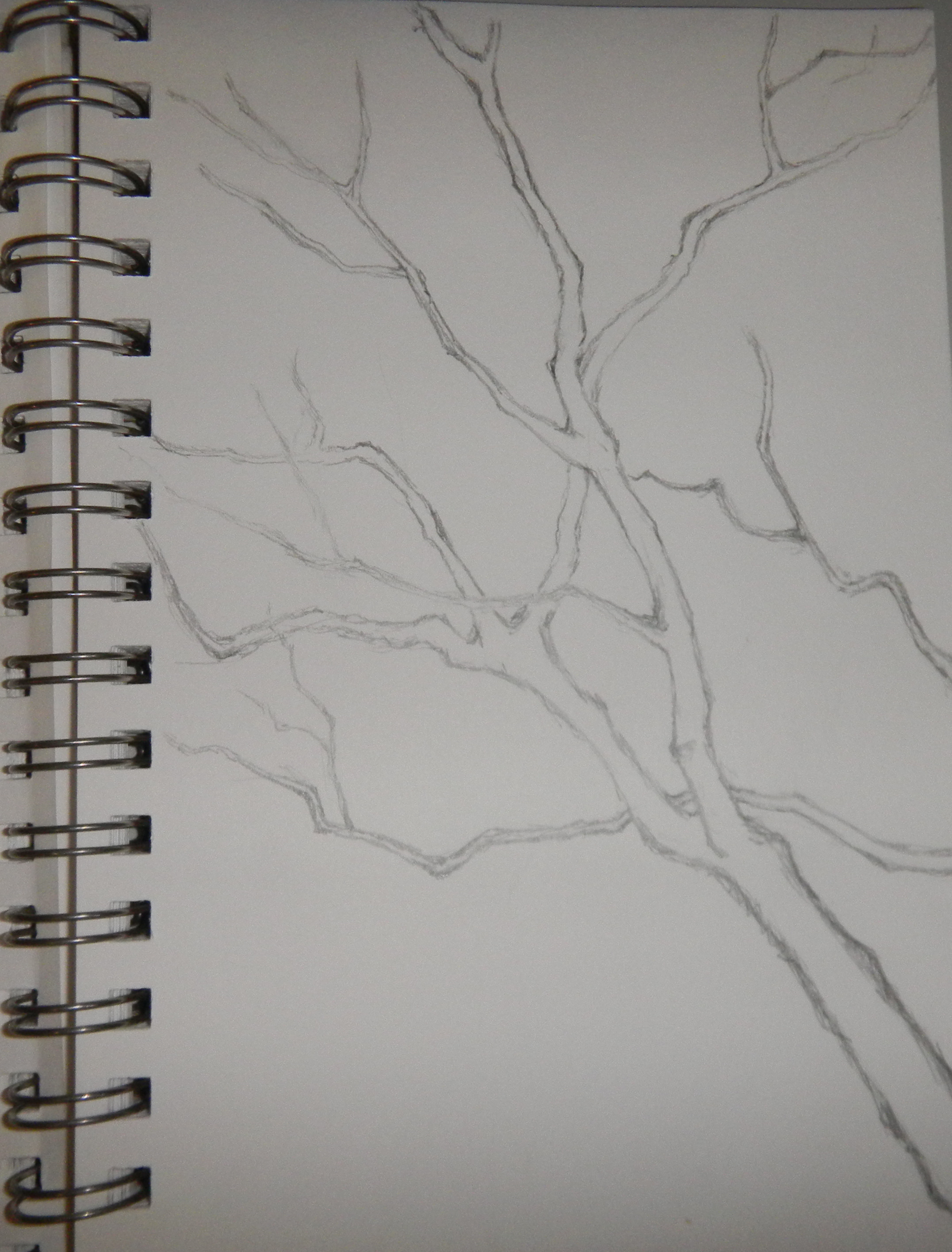 2153x2831 Sketches Of Tree Branches Melodyhe121 - Tree Branch Sketch
