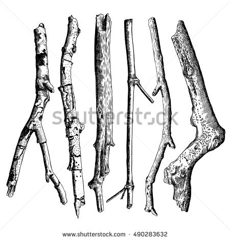 450x470 Drawn Branch Sketch Tree - Tree Branch Sketch