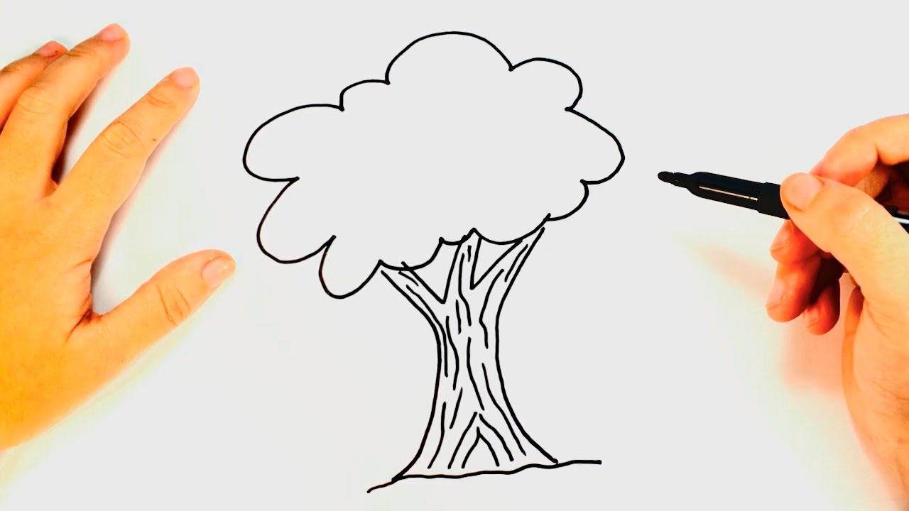 1280x720 How To Draw A Tree For Kids Tree Drawing Lesson Step By Step - Tree Cartoon Sketch