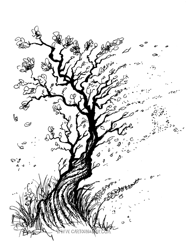 598x776 Marker Tree Sketch Black And White Cartoon - Tree Cartoon Sketch