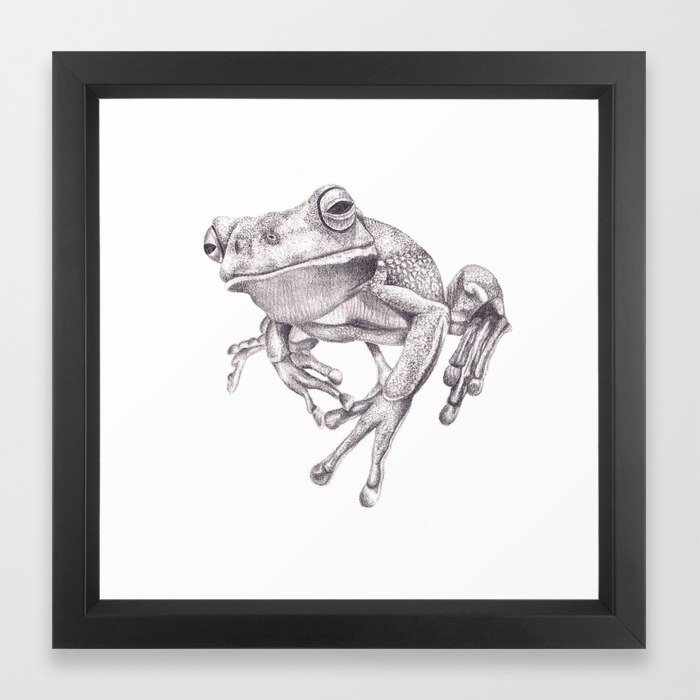 700x700 Pencil Drawing - Tree Frog Sketch