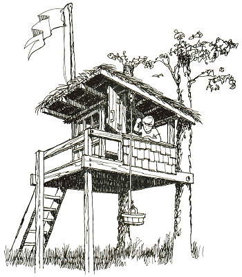 350x400 Treehouses Book - Tree House Sketch