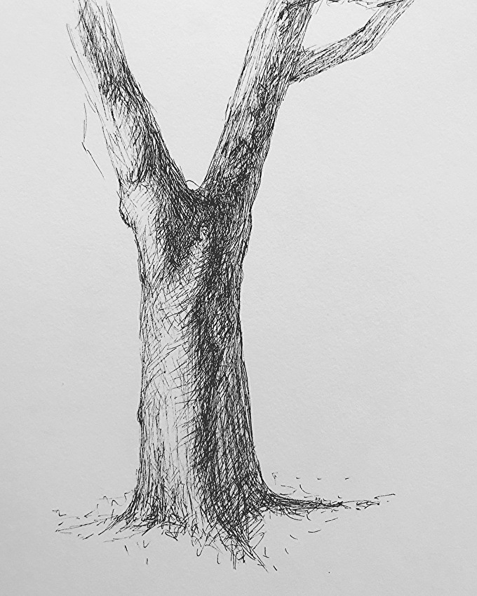 680x850 Lisa Mistiuk - Tree Image Sketch