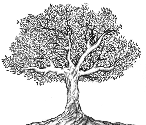 490x417 Collection Of Free Drawing Tree Sketch. Download On Ubisafe - Tree Image Sketch