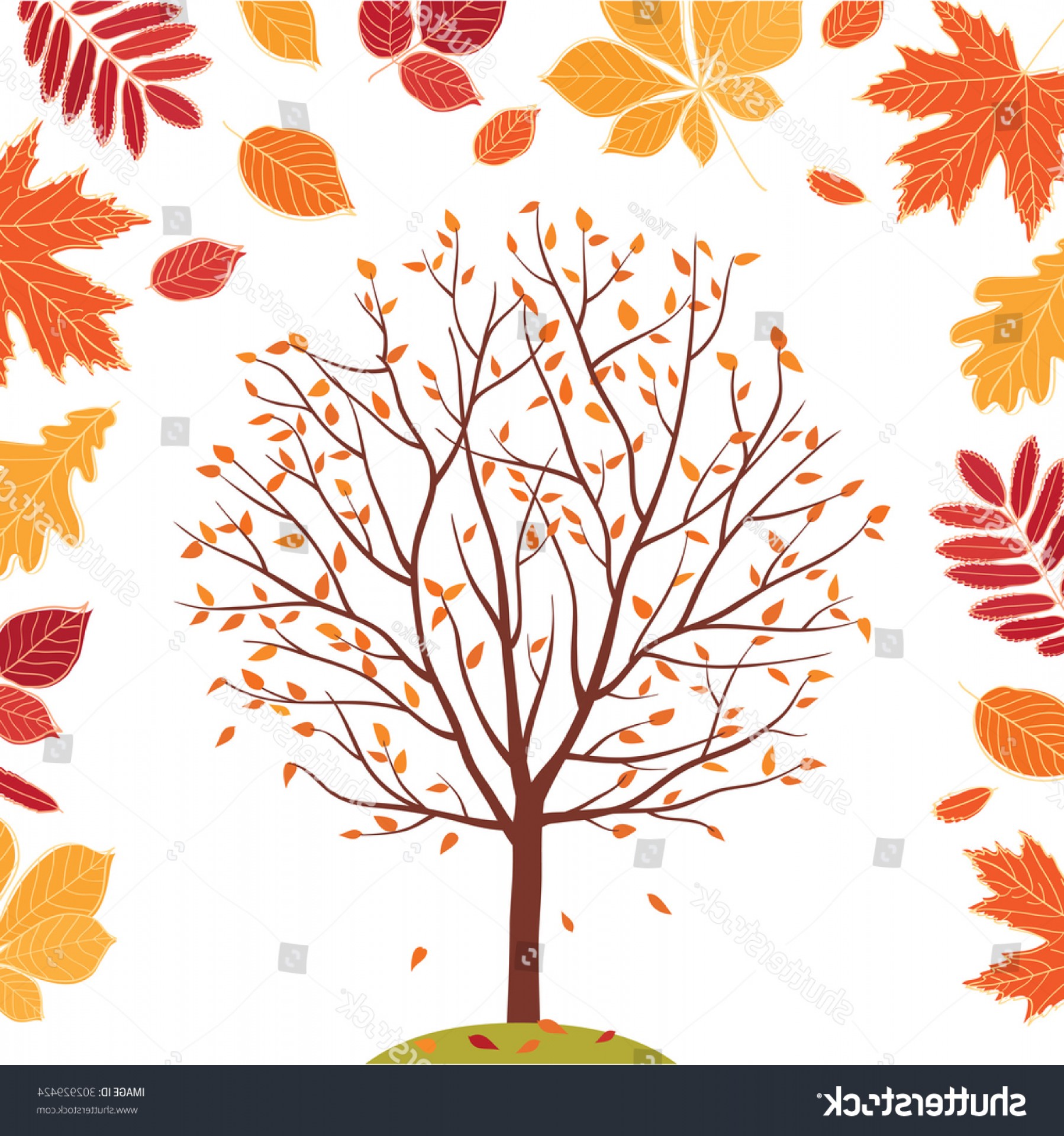1798x1920 Autumn Background Tree Fall Leaves Sketch Shopatcloth - Tree Leaves Sketch