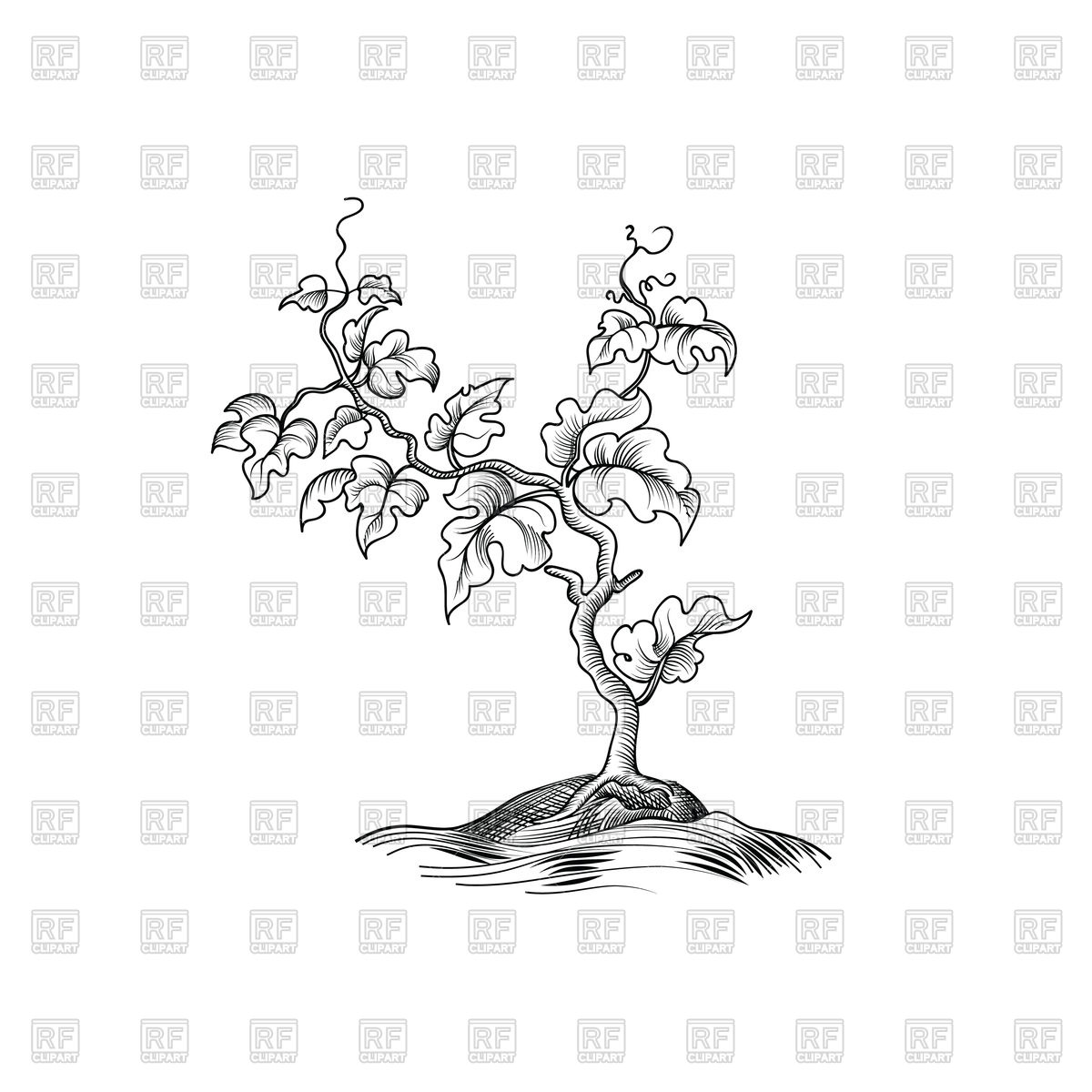 1200x1200 Plant With Leaves Sketch - Tree Leaves Sketch