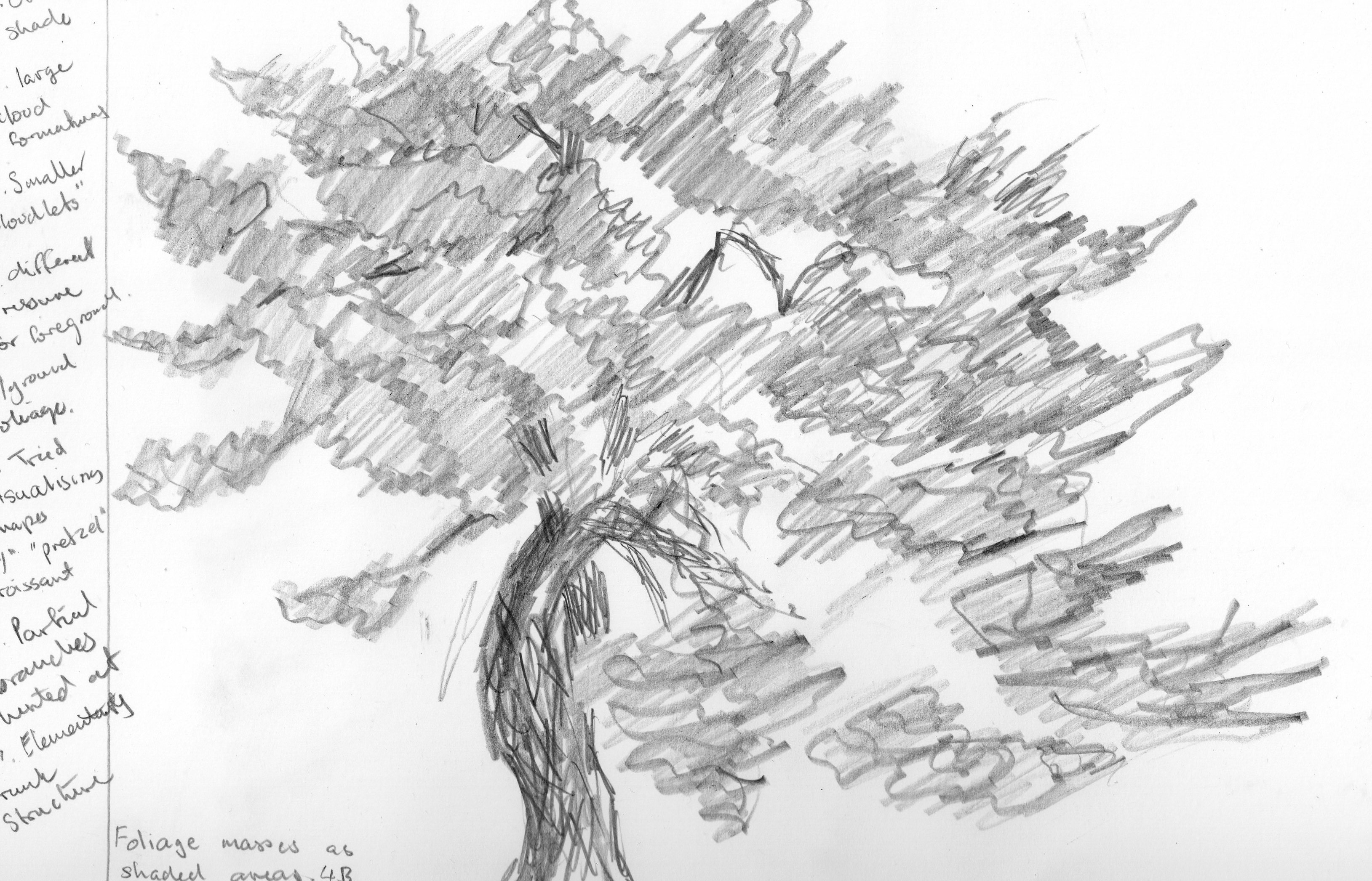 3258x2094 Project Drawing Trees - Tree Leaves Sketch