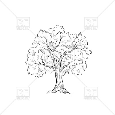 400x400 Tree With Leaves - Tree Leaves Sketch
