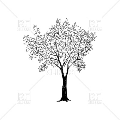 400x400 Tree With Leaves - Tree Leaves Sketch