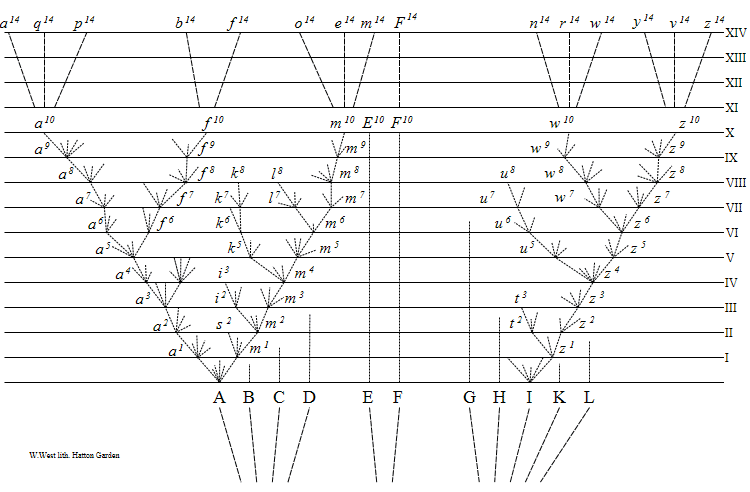750x492 Charles Darwin - Tree Of Life Sketch