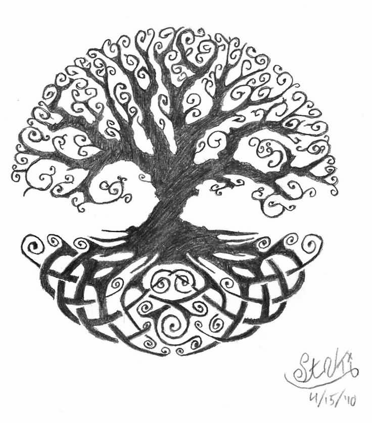 736x837 Fantastic Sketch Of Nice Celtic Tree Of Life Tattoo - Tree Of Life Sketch