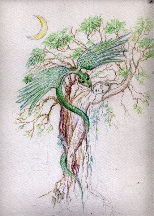 498x700 Sketch Fest! - Tree Of Life Sketch