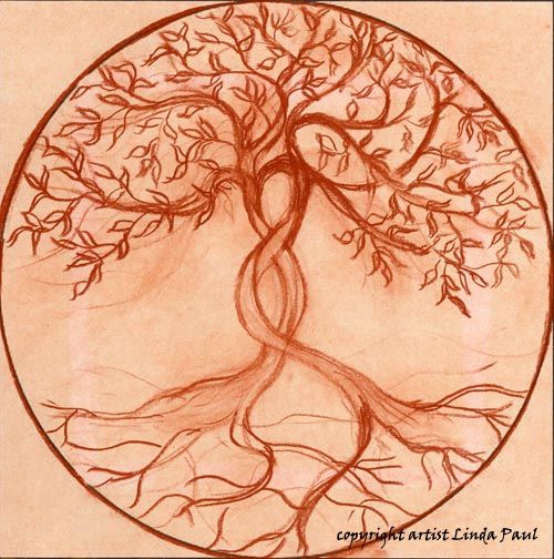 500x504 Tree Of Life Sketch By Artist Linda Paul Ideas - Tree Of Life Sketch