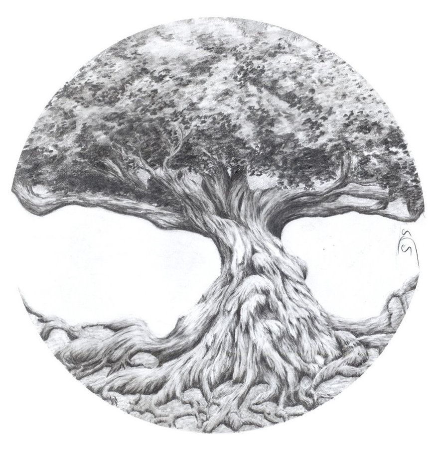 877x910 Tree Of Life Realistic Art Journal Inspiration - Tree Of Life Sketch