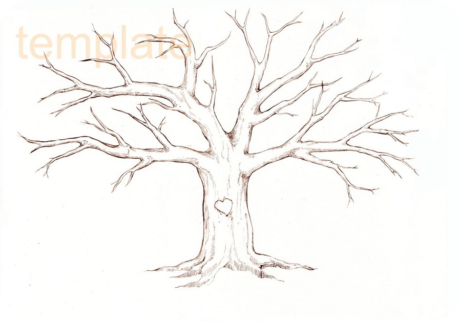 Tree Outline Sketch at PaintingValley.com | Explore collection of Tree