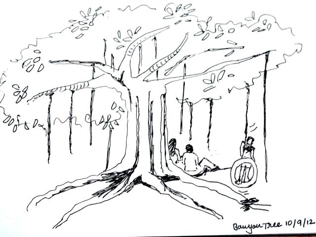 640x480 Banyan Tree Drawing Eucalyptus And Banyan Image Material - Tree Outline Sketch