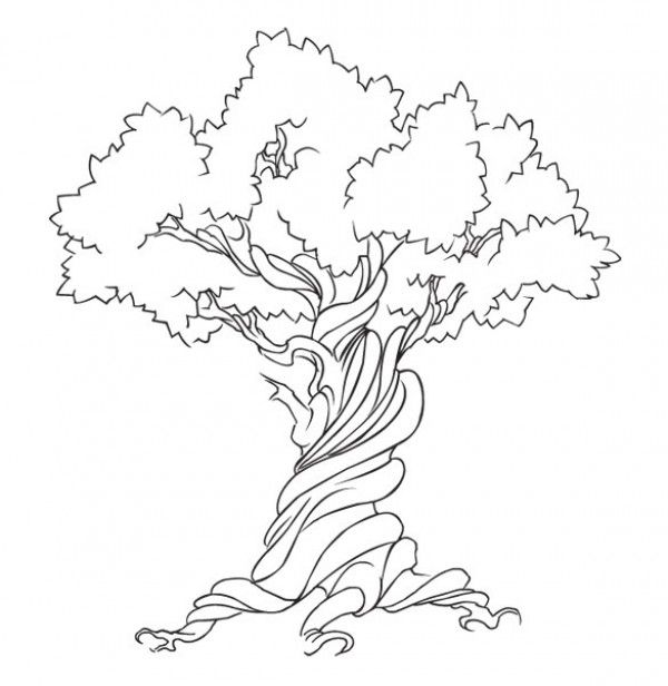600x616 Tree Outline Graphic - Tree Outline Sketch