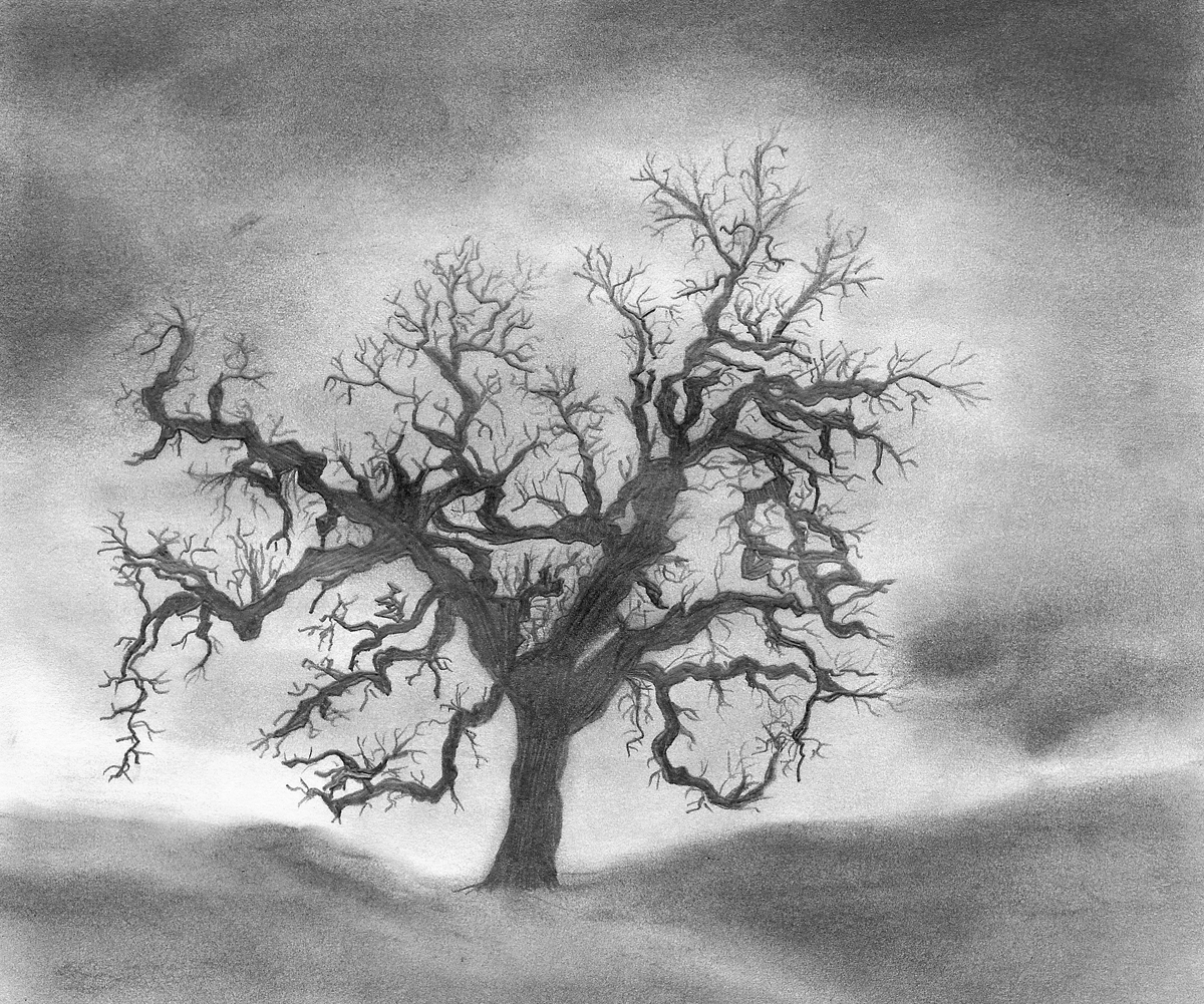 1200x1001 Online Jigsaw Puzzle - Tree Pencil Sketch