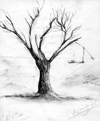 330x400 Tree Fine Arts Gallery - Tree Pencil Sketch