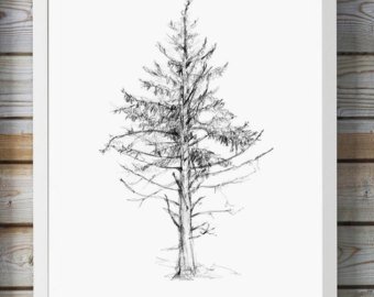 340x270 Tree Pencil Drawing Etsy - Tree Pencil Sketch