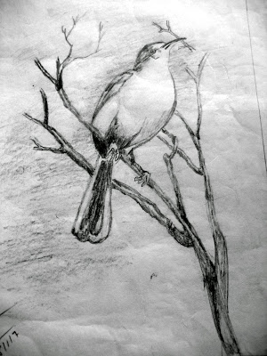 300x400 Debamitra A Pencil Sketch Of A Bird On A Tree - Tree Pencil Sketch