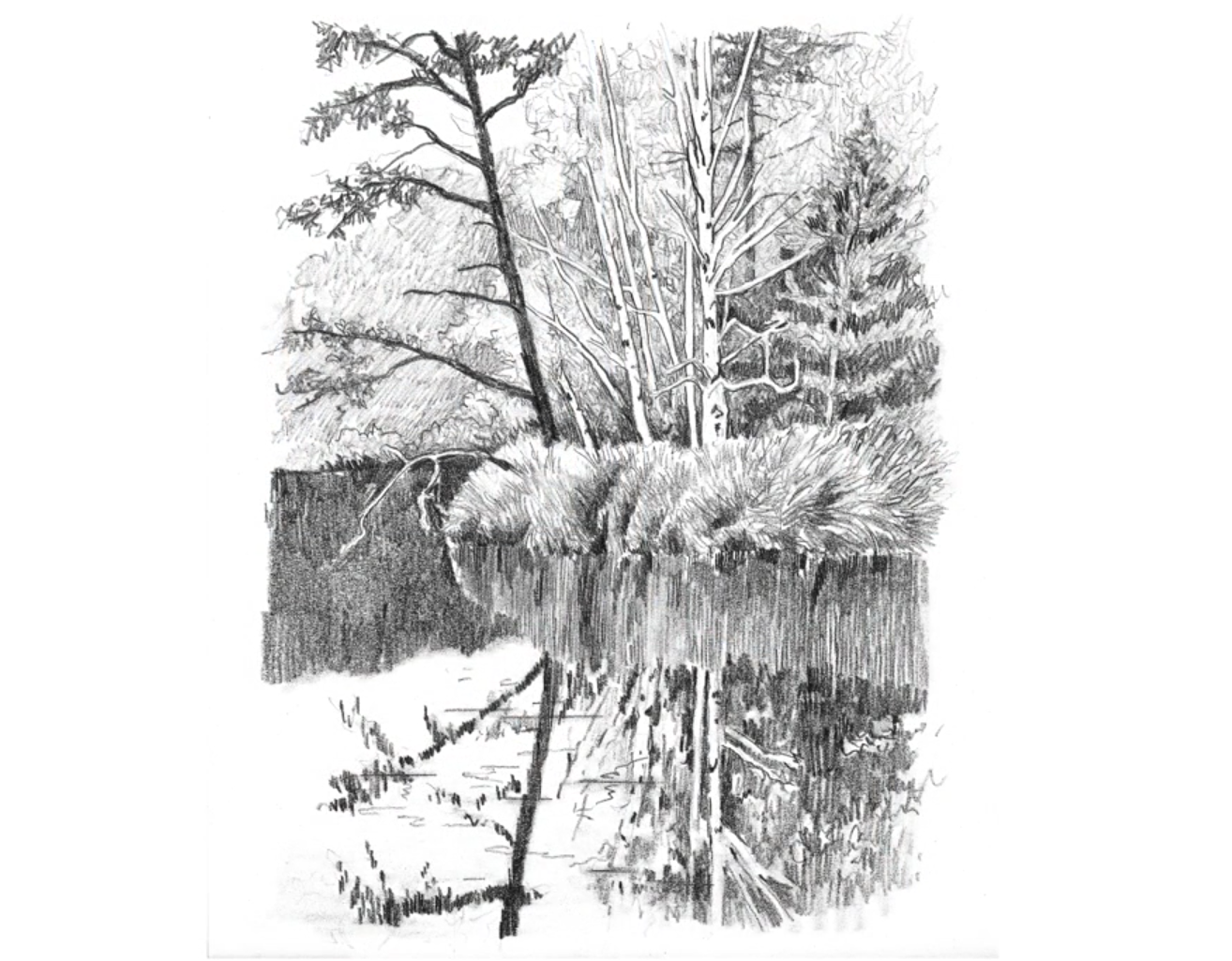 1314x1025 6 Ways To Spruce Up Your Landscape Pencil Drawings! - Tree Pencil Sketch