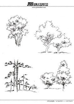 236x334 The 104 Best (Dd) Tree Shrub Plant - Tree Planting Sketch