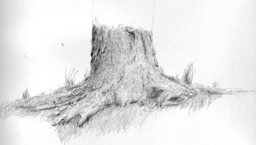 500x283 Drawn Roots The Ground - Tree Roots Sketch